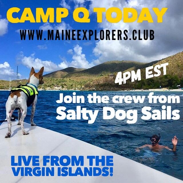 Join us for Camp Q today and meet the awesome crew from @saltydogdaysails to learn a little about &lsquo;living aboard&rsquo; in the US Virgin Islands.  LIVE from St John, get some virtual blue sky therapy, meet Pirate Nemo and let&rsquo;s explore mo