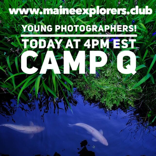 Join our FREE photo classes for young photographers.  30 minutes. 4pm EST.  Head on over to www.maineexplorers.club at 4 and join the Zoom meeting.  Link on homepage.  Every Tuesday &amp; Thursday.  Visit www.maineexplorers.club/Workshops/CampQ link 