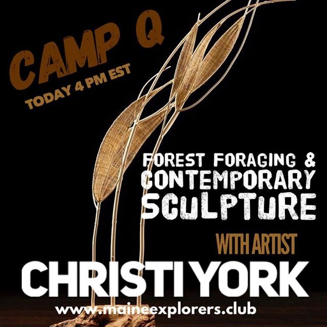 Today, live from Canada, artist Christi York shares her fascinating process of mixing traditional basket weaving methods with a contemporary eye and an interdisciplinary approach. ​
Inspired by the biological complexity that surrounds us, Christi inv