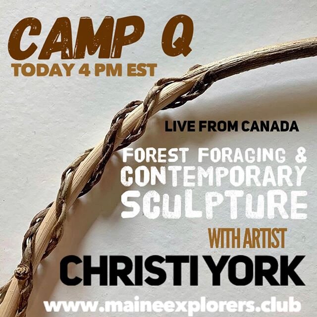Going live in 1 hour!  Join us to learn how artist @york_christi finds inspiration and materials in the wild to create beautiful contemporary sculpture.  #maineexolorersclub #campQ #christiyork #naturalart #sculpture #basketry #weaving