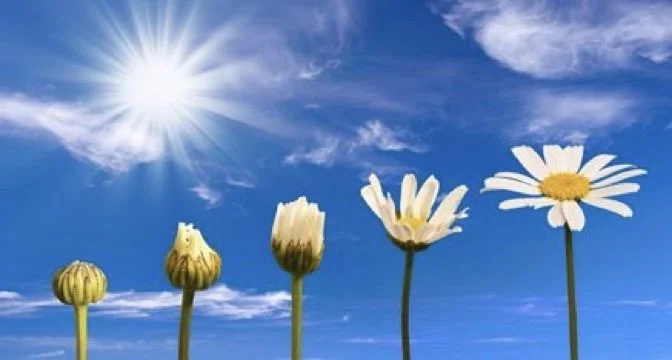 LES ATELIERS DU BONHEUR  