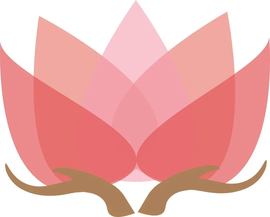COUR DE YOGA VINYASA