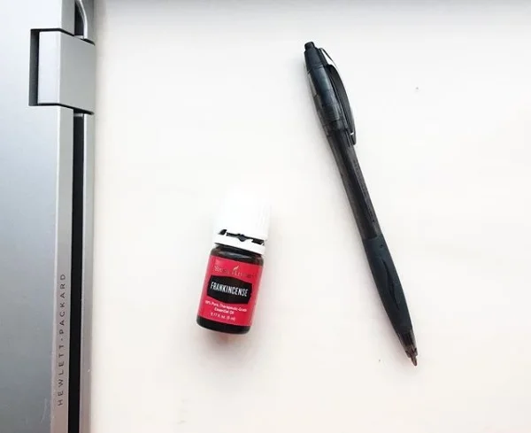 Frank = focus! A must-have for my NaNo word counts