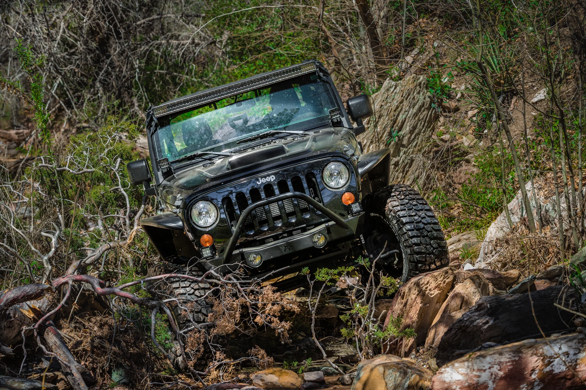 Off-Road Exploring | Rio Verde, Arizona