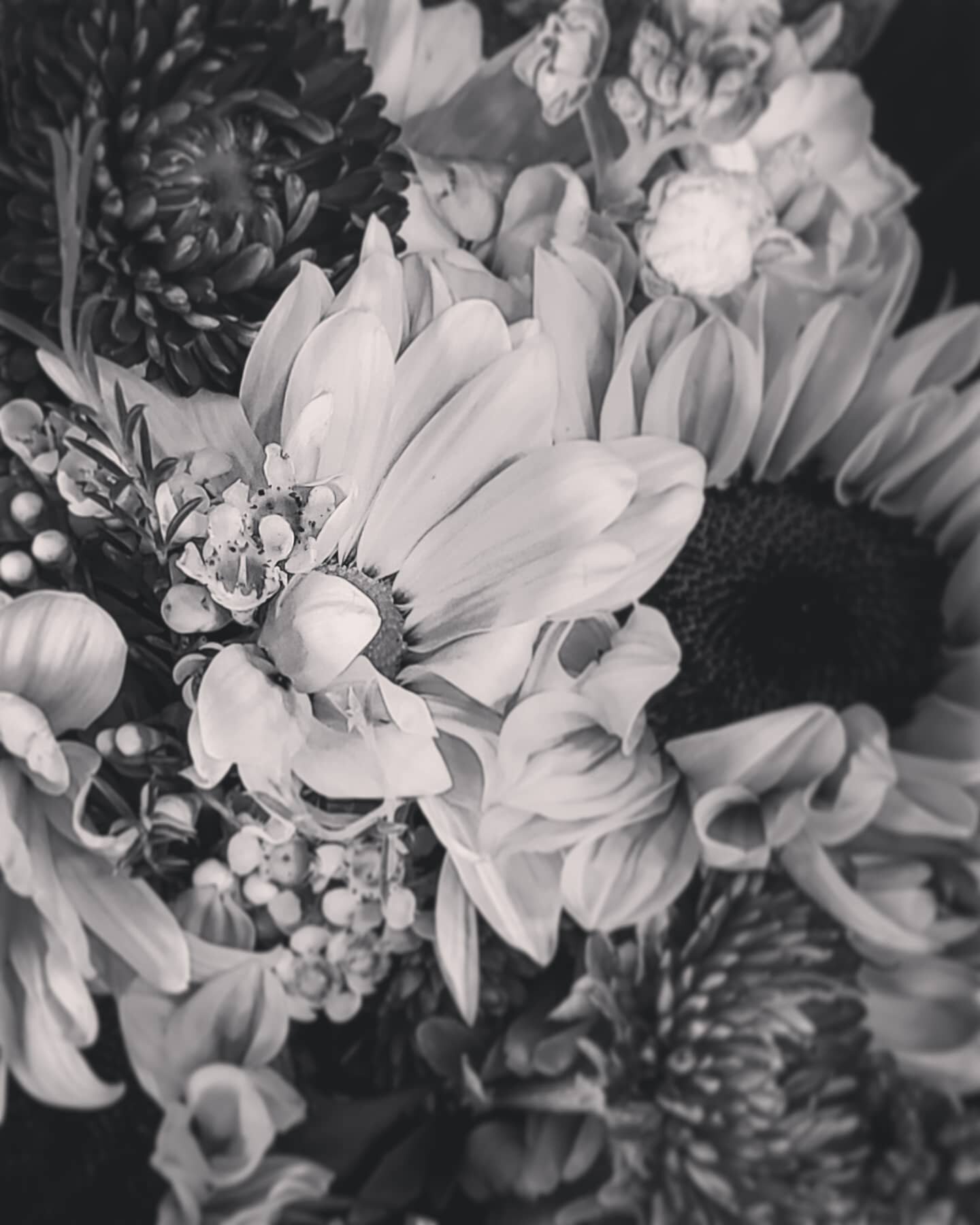 #flowers #blackandwhite #observelife