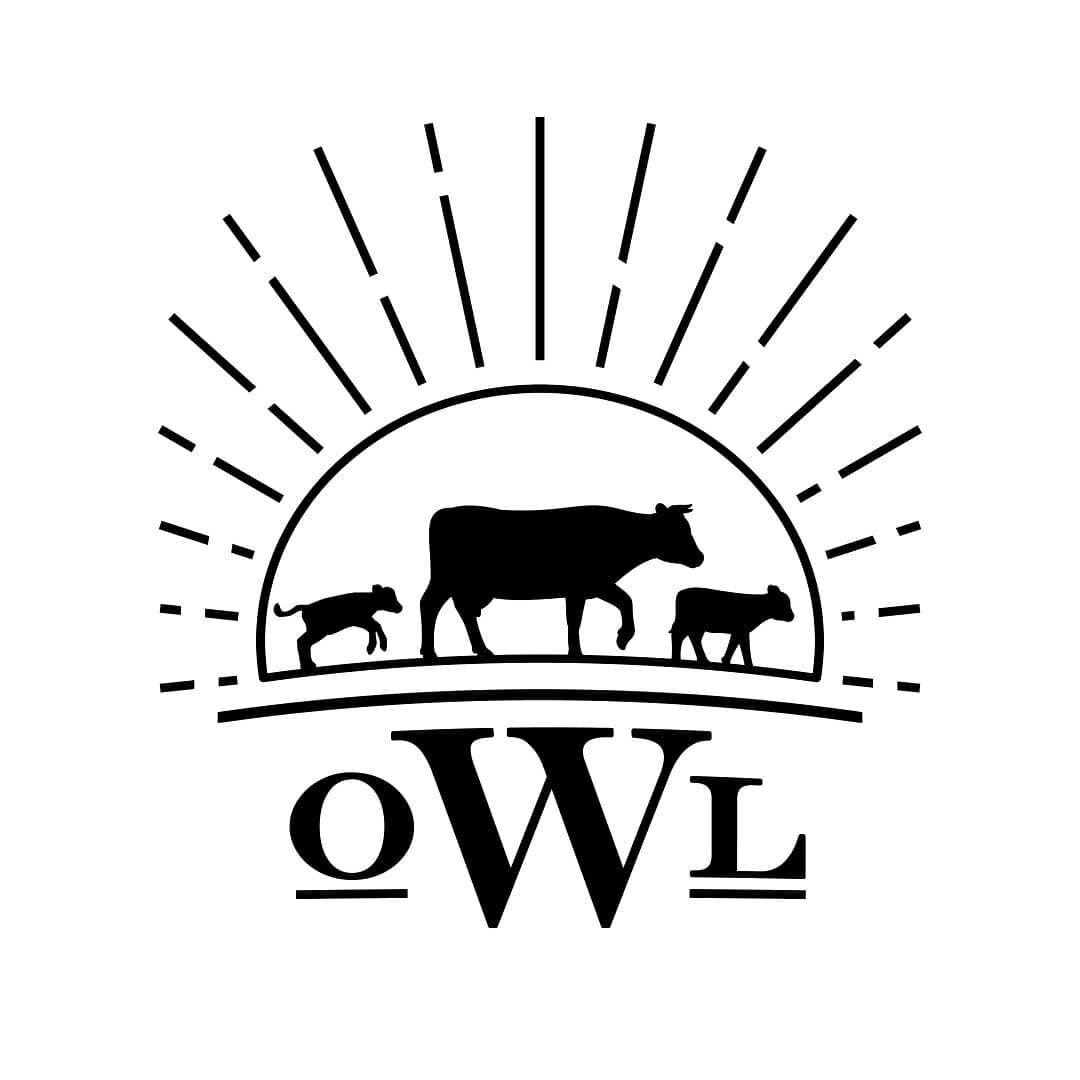 Logo created for @ourwyominglife. This was a fun one. Check out their blog and store!
.
.
.
#wyominglife #cattle #ranchlife #sunshine #lastfrontier #logo #design