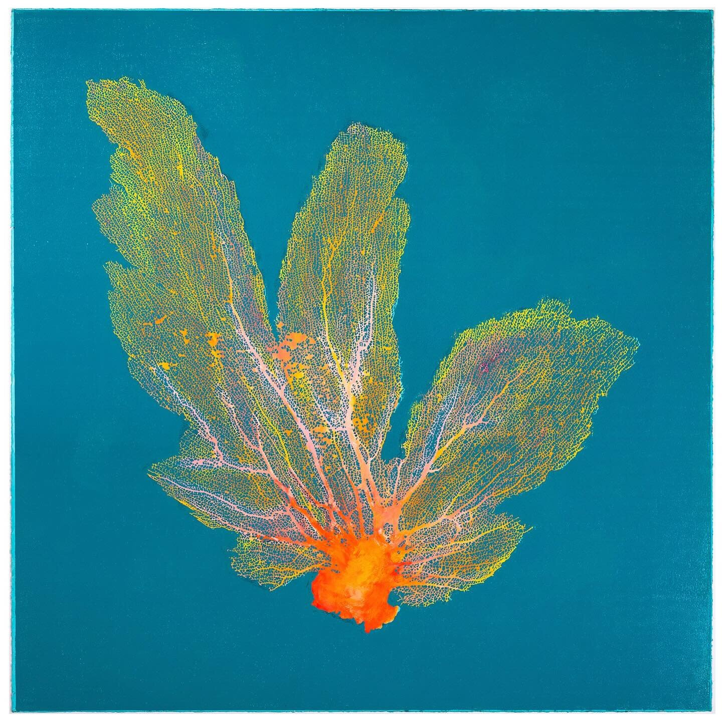 We welcome you to the Fig Tree Studio Art Gallery with sea fan woodcuts from artist Jo de Pear. Inspired by the vibrant and bold Caribbean palettes we have a wide selection of colour ways available at the gallery. #figtreegallery #antiguaart #caribbe