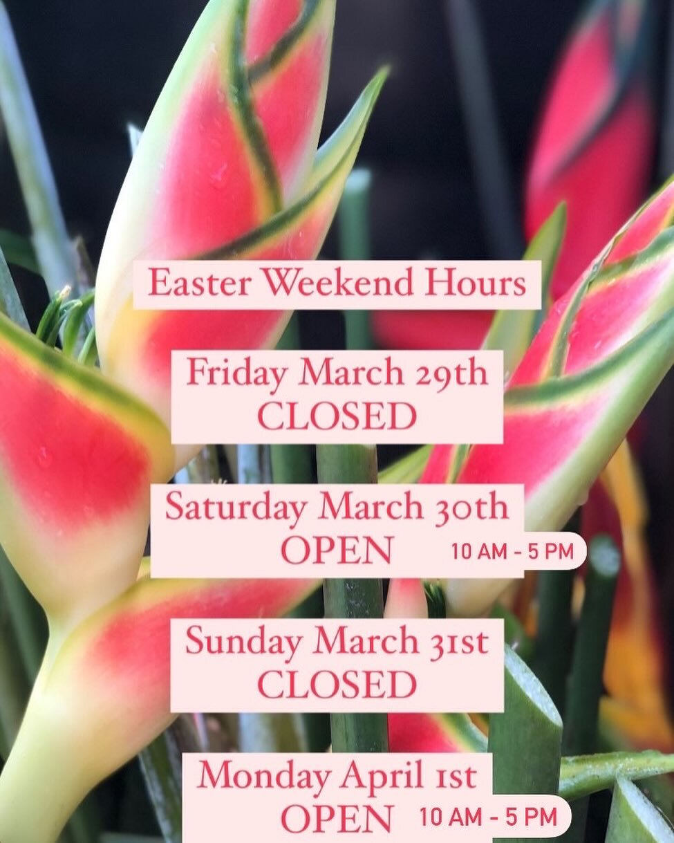 We hope to see you at the Fig Tree Studio Art Gallery this weekend. Our hours are 10am to 5pm. Closed on Friday March 29th and Sunday March 31st. Have a festive but safe Easter Weekend. #figtreegallery #antiguaandbarbuda #caribbeanart #islandart