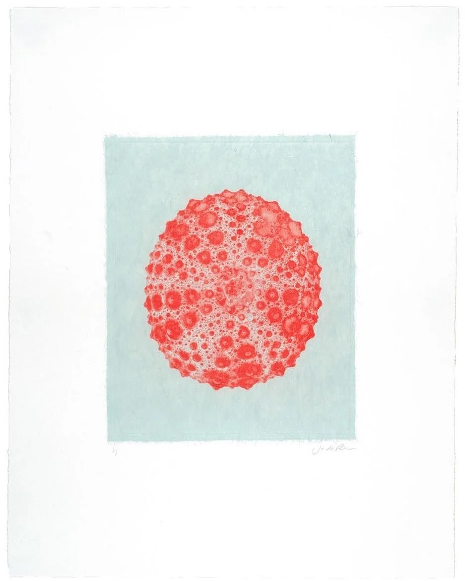 While beach combing on our local beaches in Antigua and Barbuda you will find sea urchins washed up after storms or large swells.  Printmaker Jo de Pear recently created a new collection of etchings on Chine Colle&rsquo;. A two layered technique that