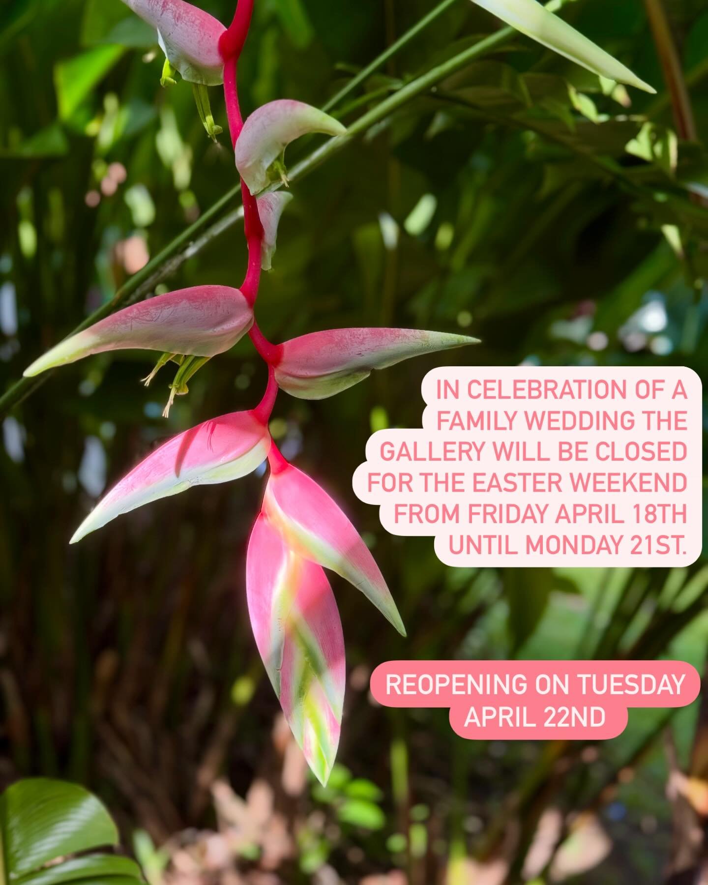 This weekend our families are coming together to celebrate a very special wedding. The gallery will be closed from Friday April 18th until Monday April 21st. We look forward to seeing you at the gallery on Tuesday April 22nd. Have a lovely Easter wee
