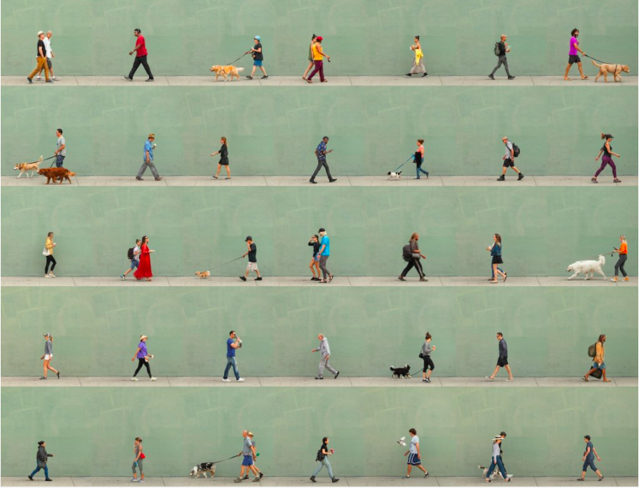 Screen Shot 2021-04-09 at 2.21.03 PM (1).png