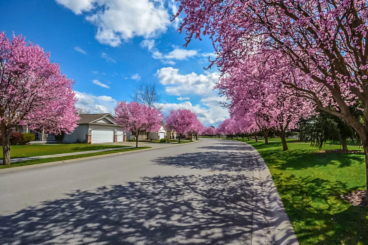 Lawn-Service-Elkhart.jpg