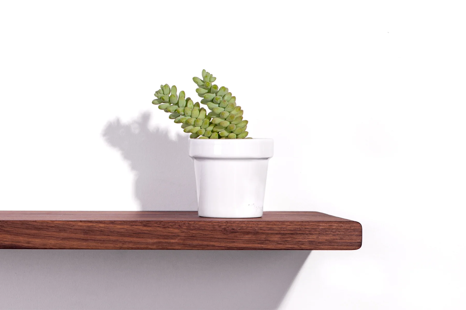 fin-dash-shelf-detail.jpeg
