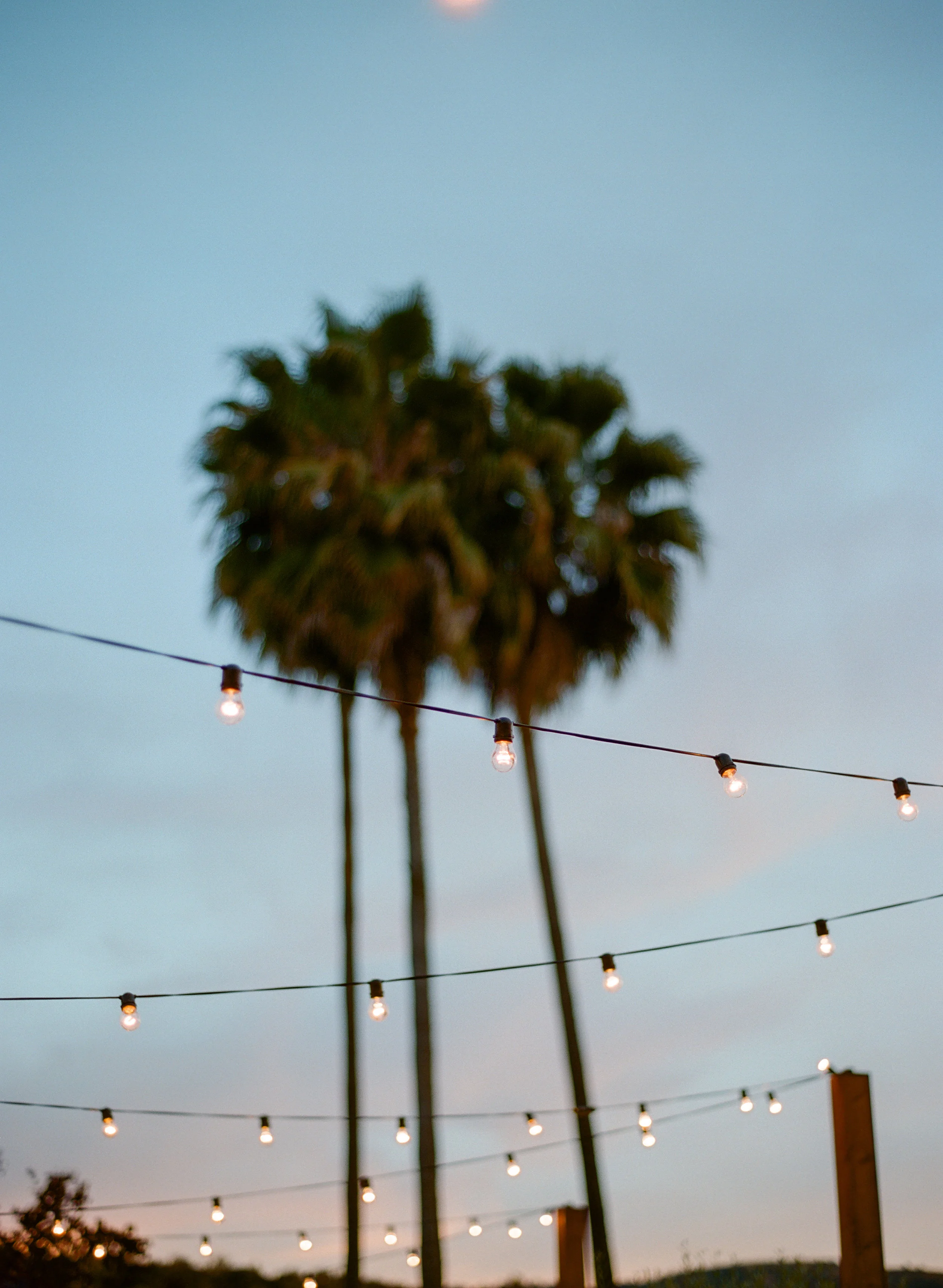 Reception-26d.jpg