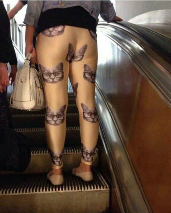 cat leggings.jpg