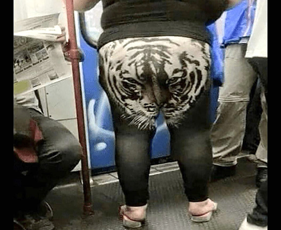 lion leggings.jpg