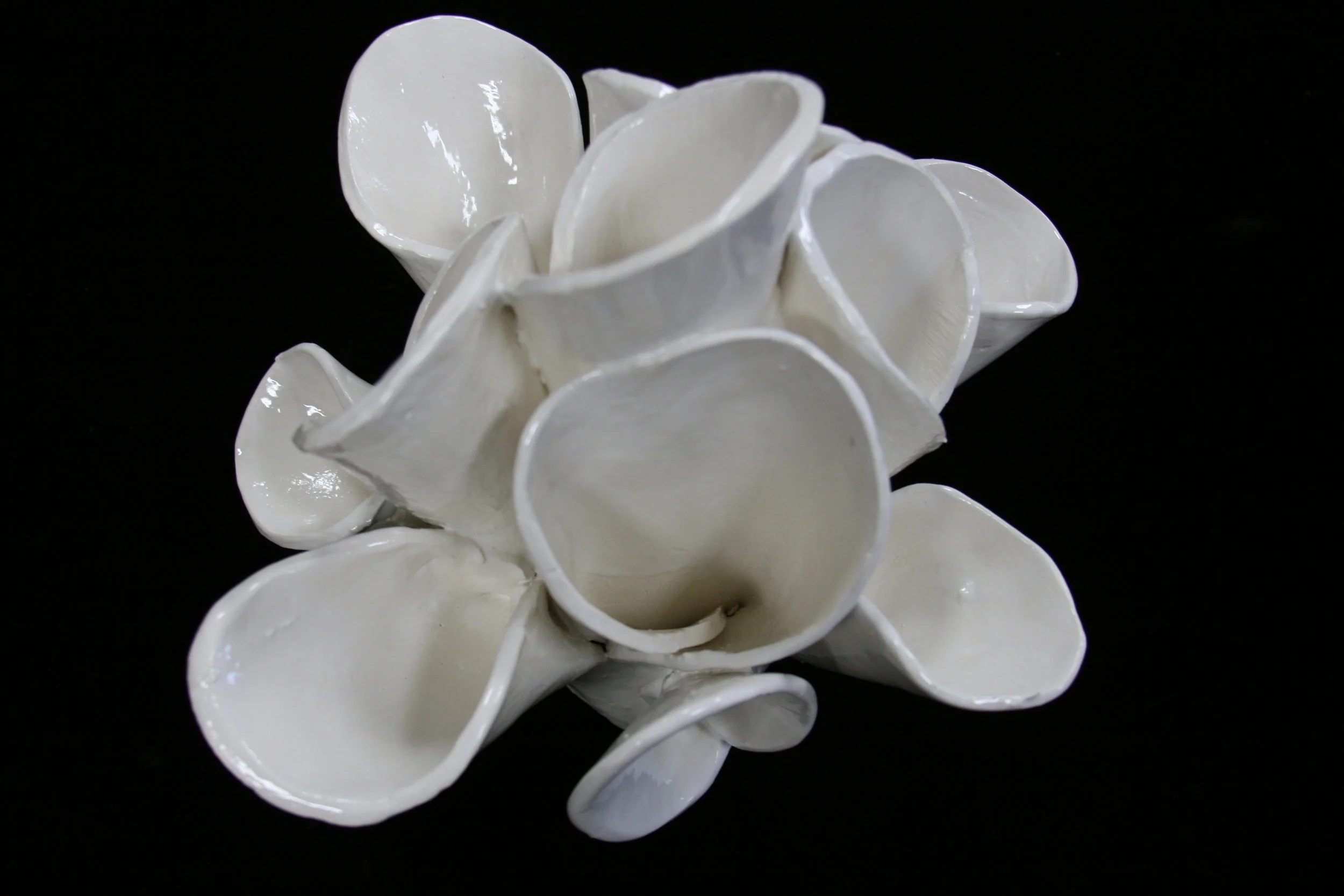 Organic Ceramics 1.JPG