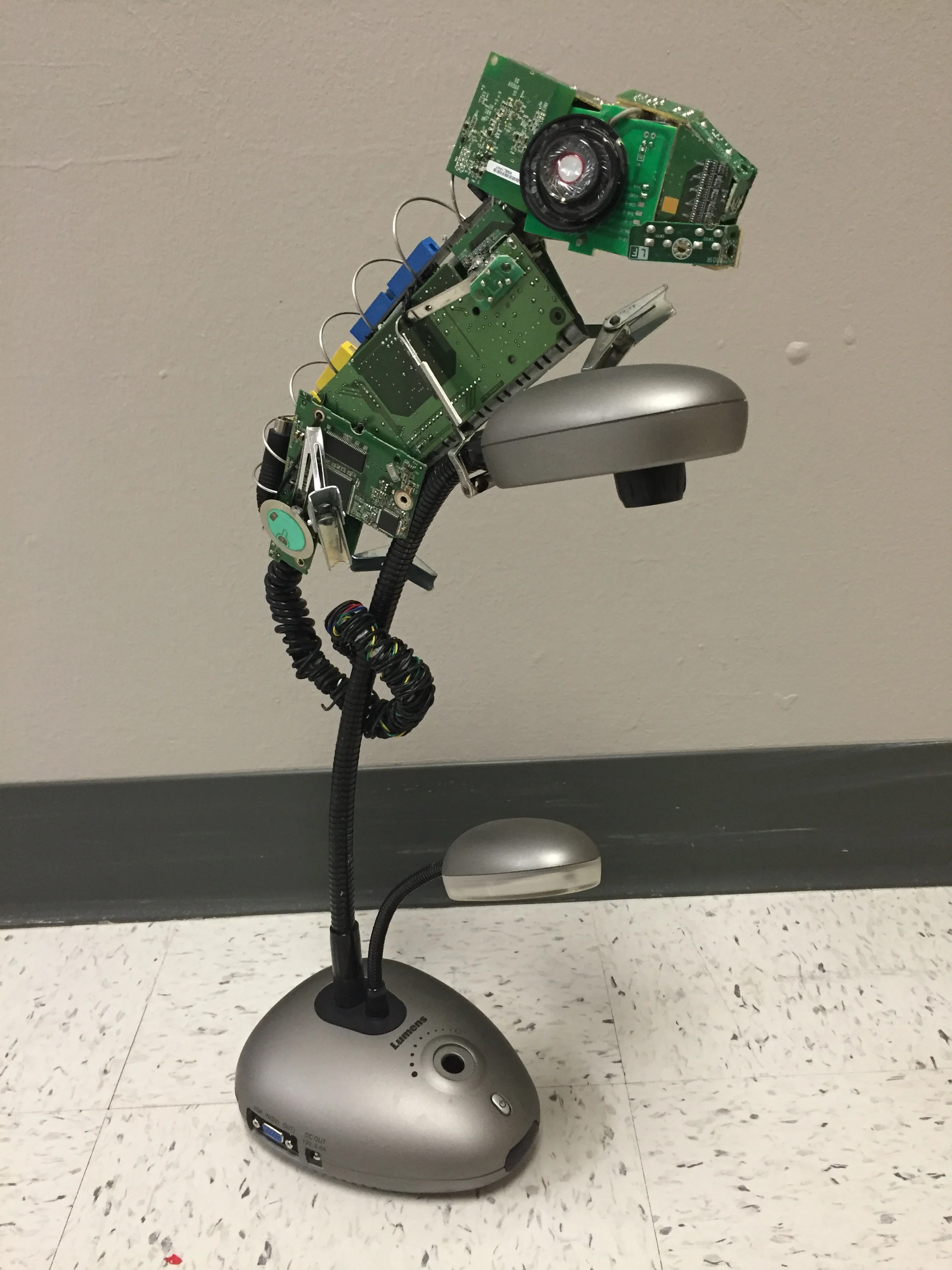 Sculpture Altered Art Chameleon 2016.JPG