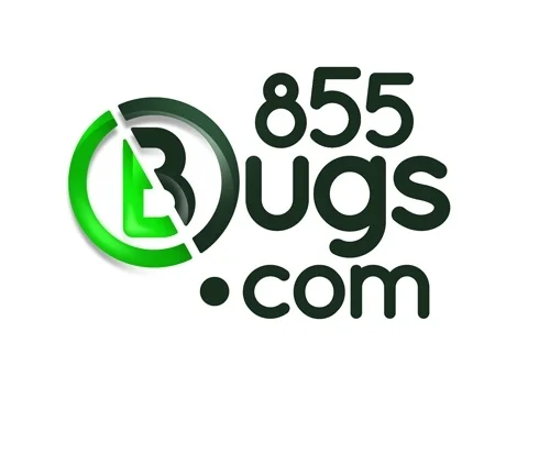 bugs.jpg