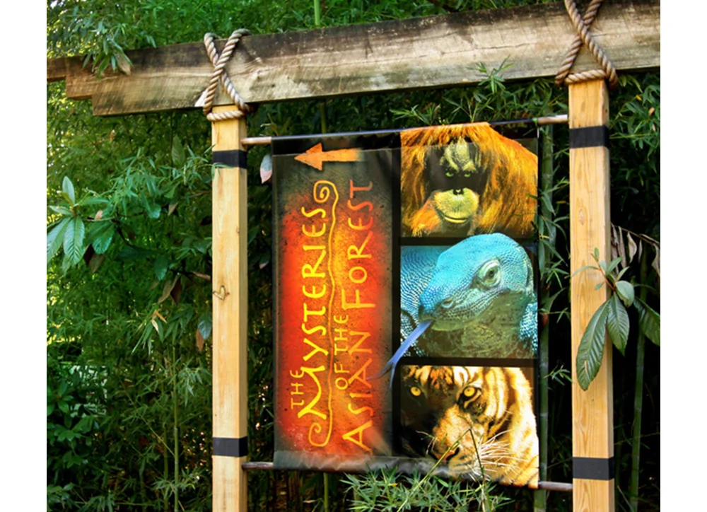 5AsianForestBanner2.jpg