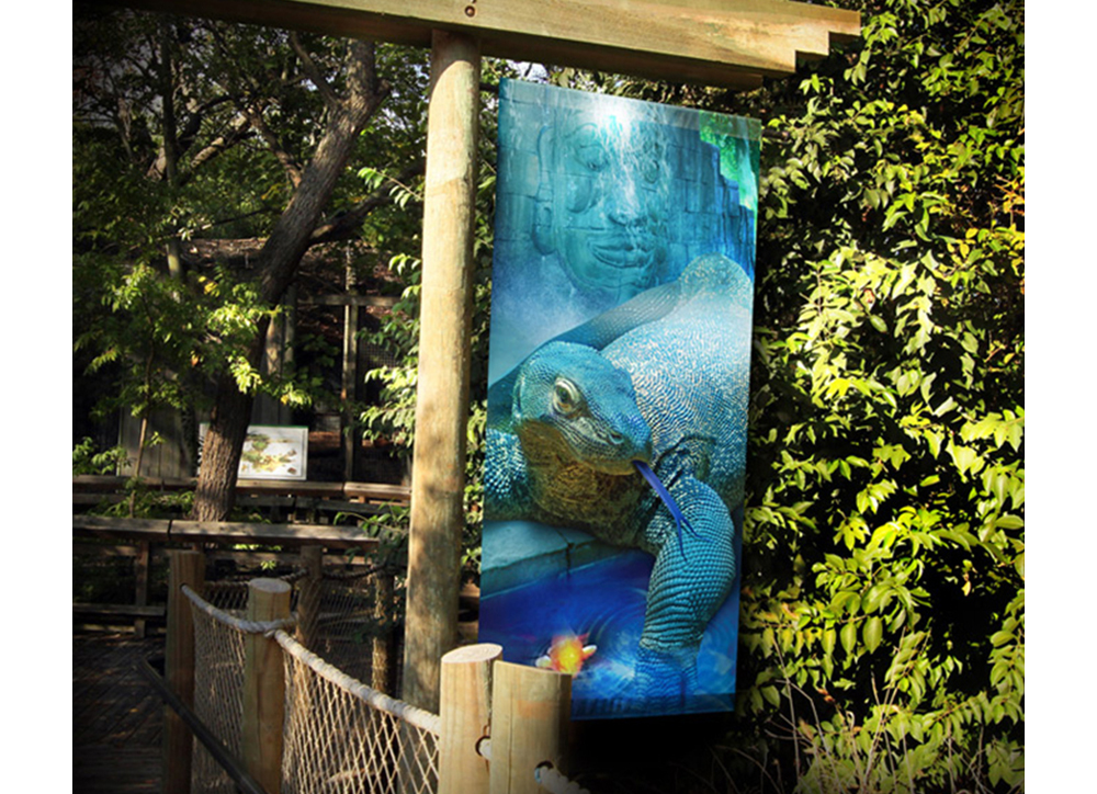 5AsianForestBanner1.jpg
