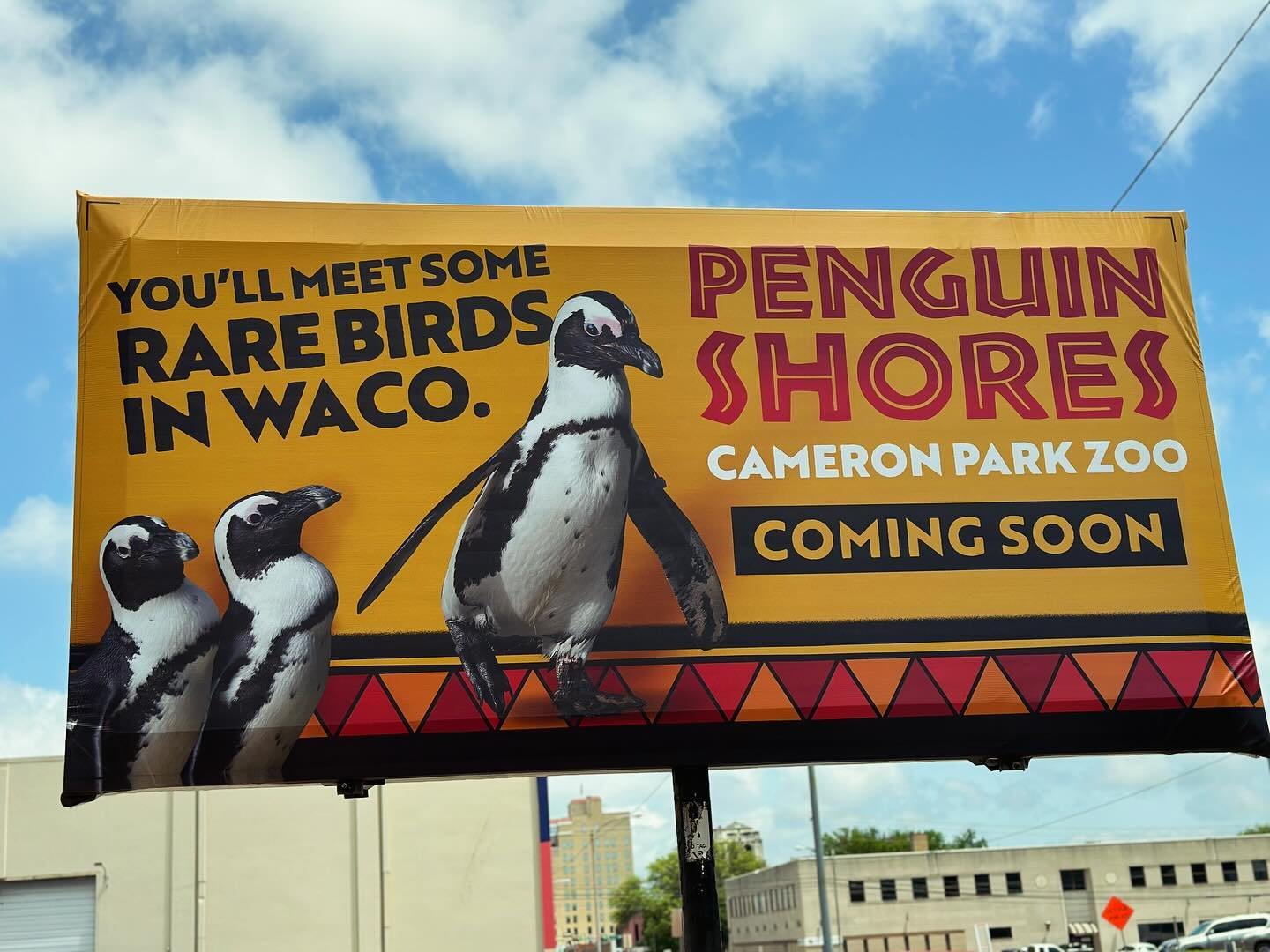Cameron Park Zoo penguin billboards are up! We love seeing this marketing campaign out and about on billboards, social media, signage and ads! #wacomarketing