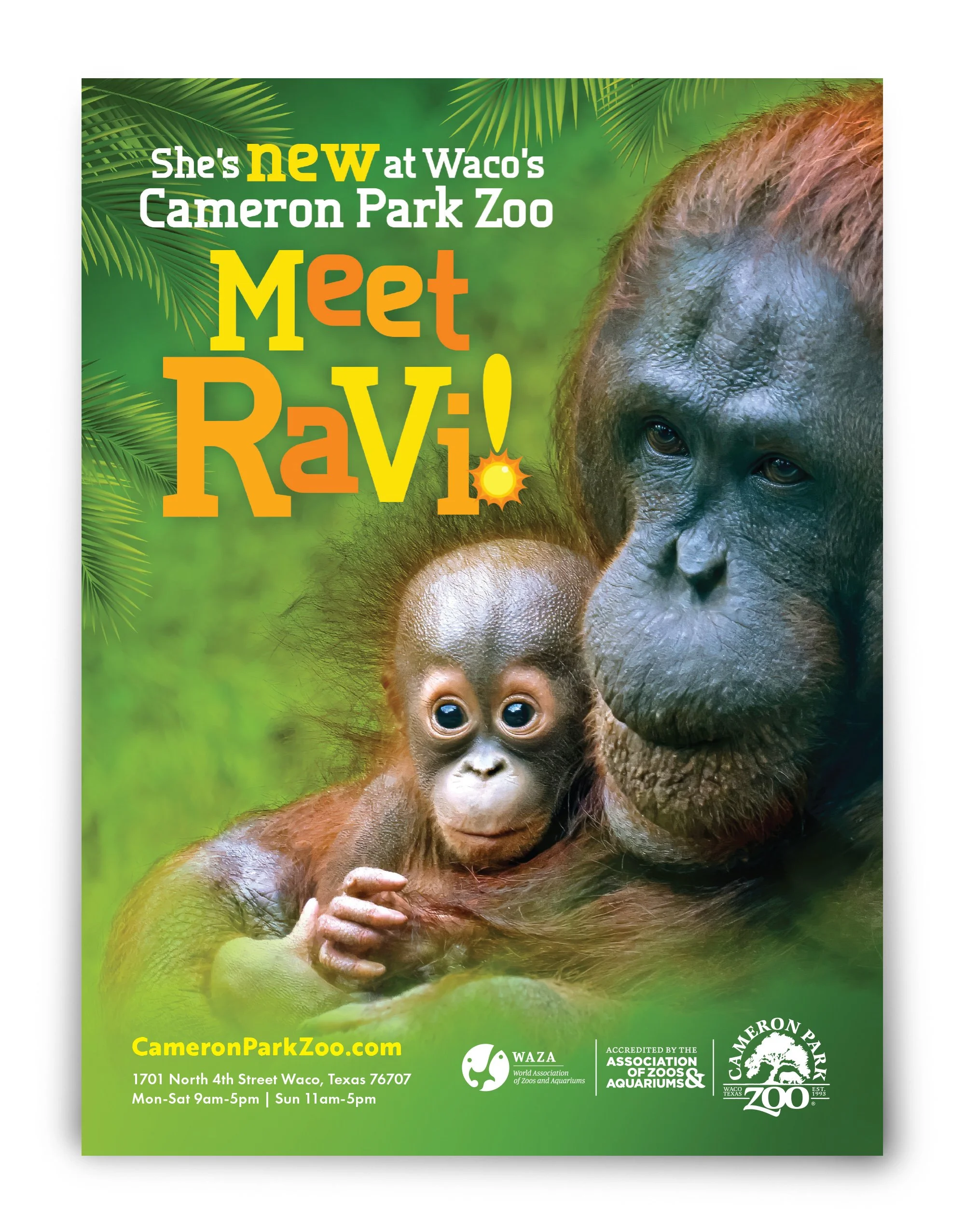 ad - meet ravi.jpg