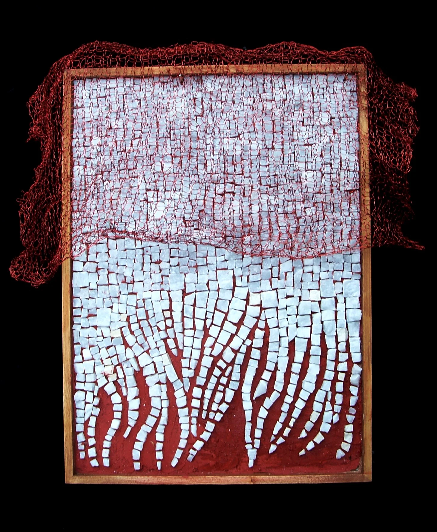 Reticulum