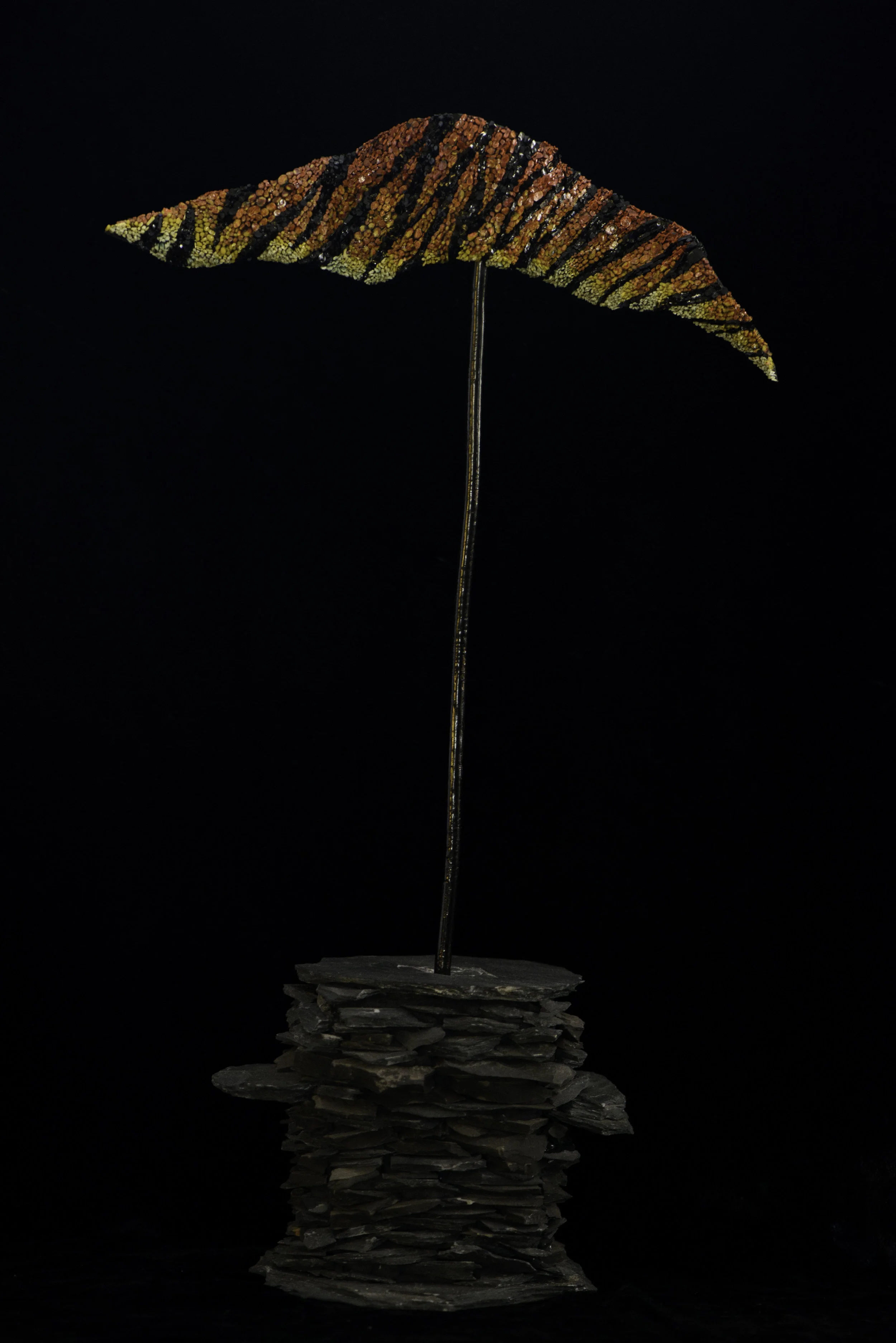 Borealis 3