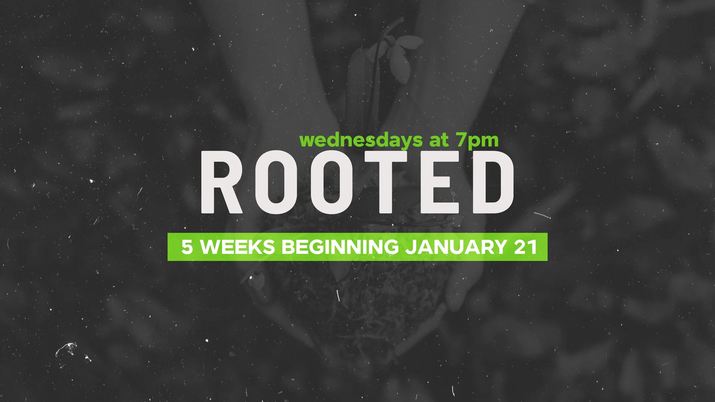 ROOTED basic slide.jpg