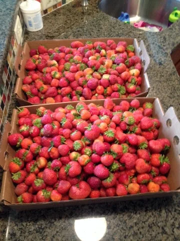 Strawberry Jam 3.jpg