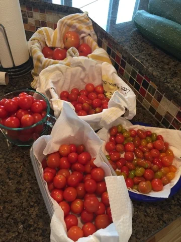 Oven Roasted Cherry Tomato Sauce 2.jpg