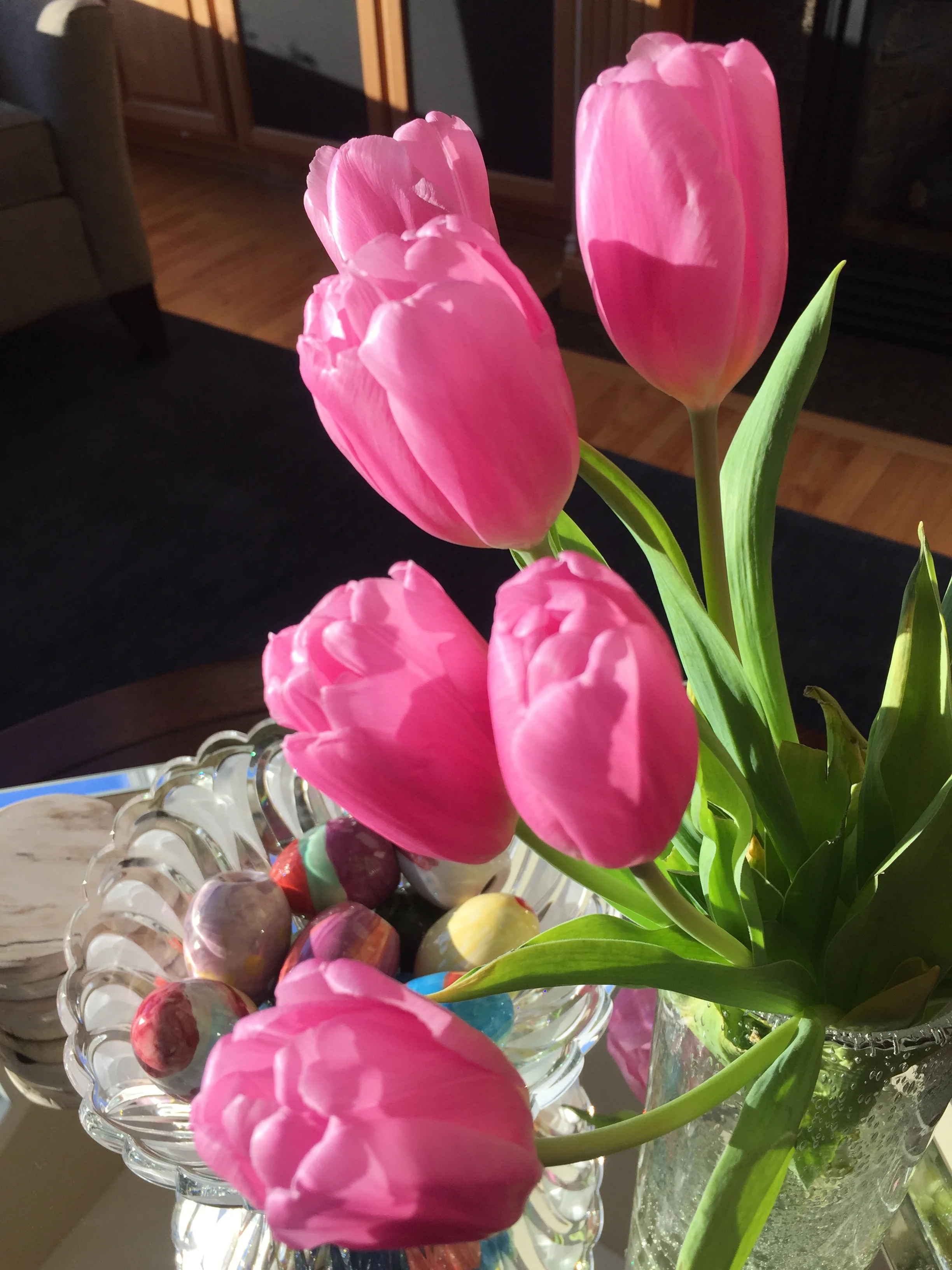  These are a few of my favorite things: March 2018 Edition