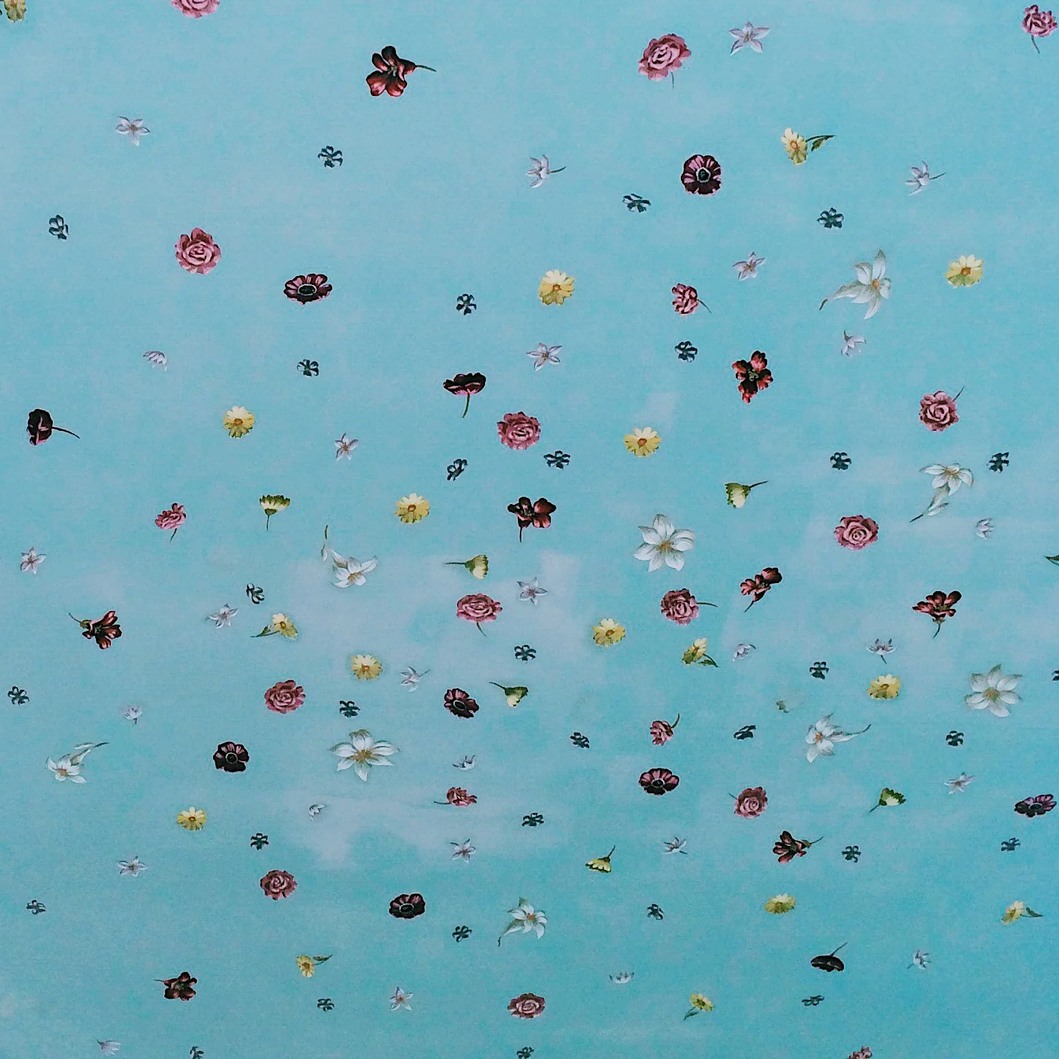 4E08AAE8-31A0-4C5C-BC2E-67F98540194F.jpg