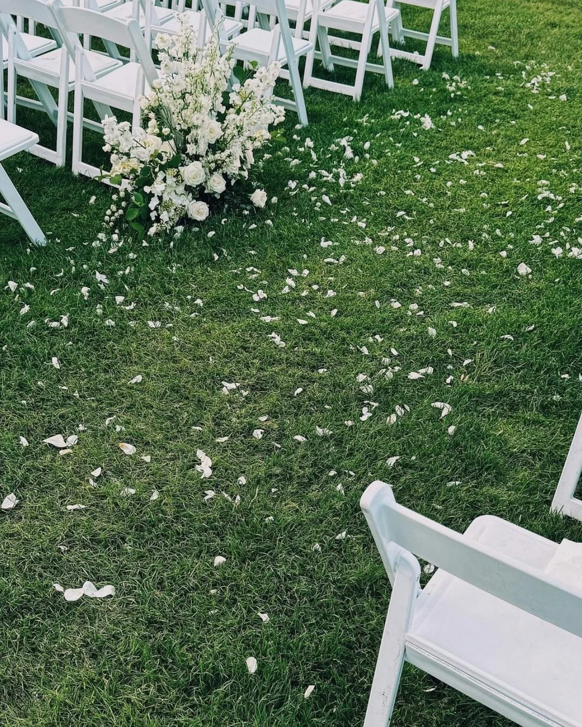 Screenshot 2025-10-15 at 3.44.55 PM.jpeg