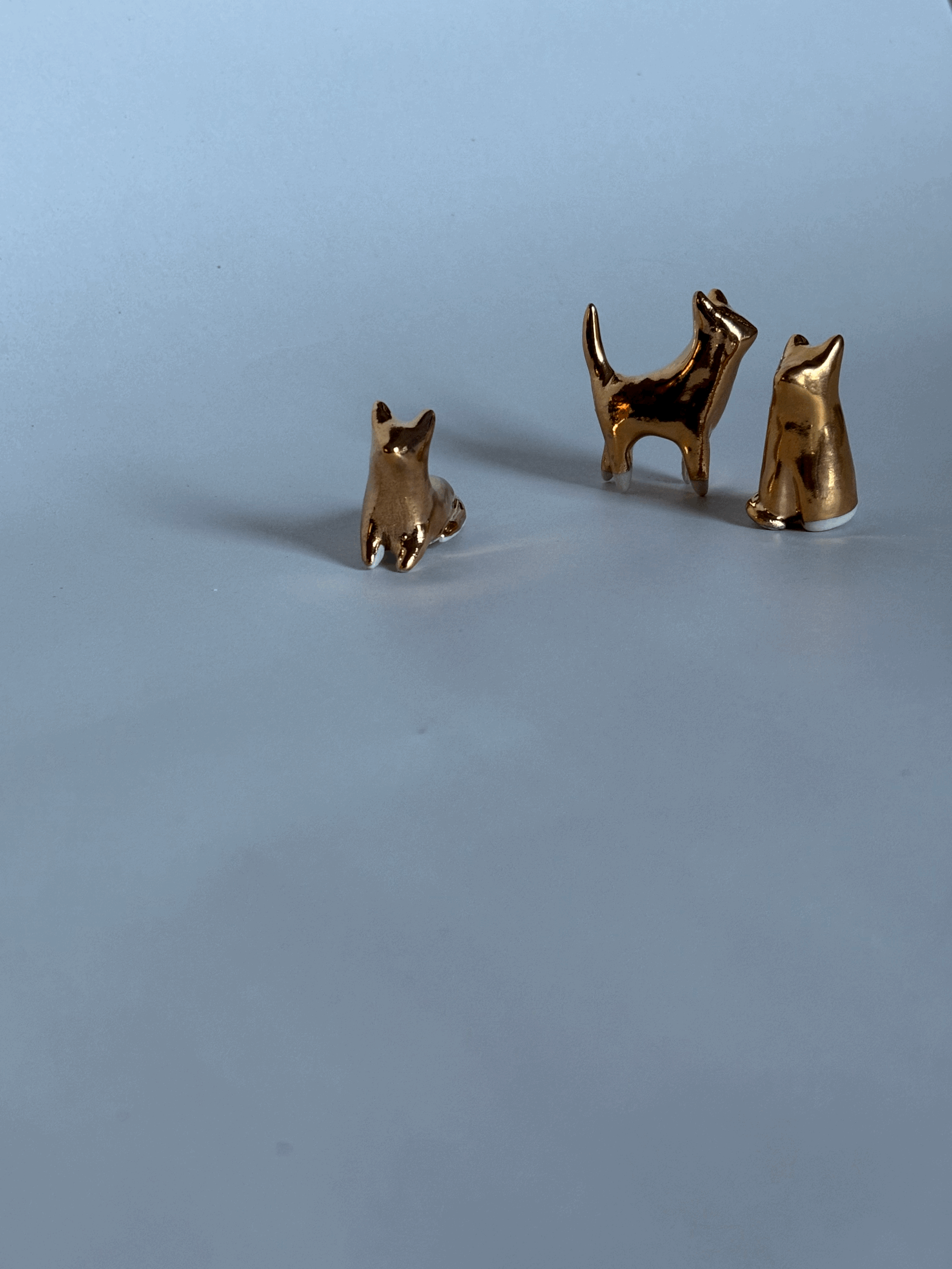 tempImageJmUHe2.gif