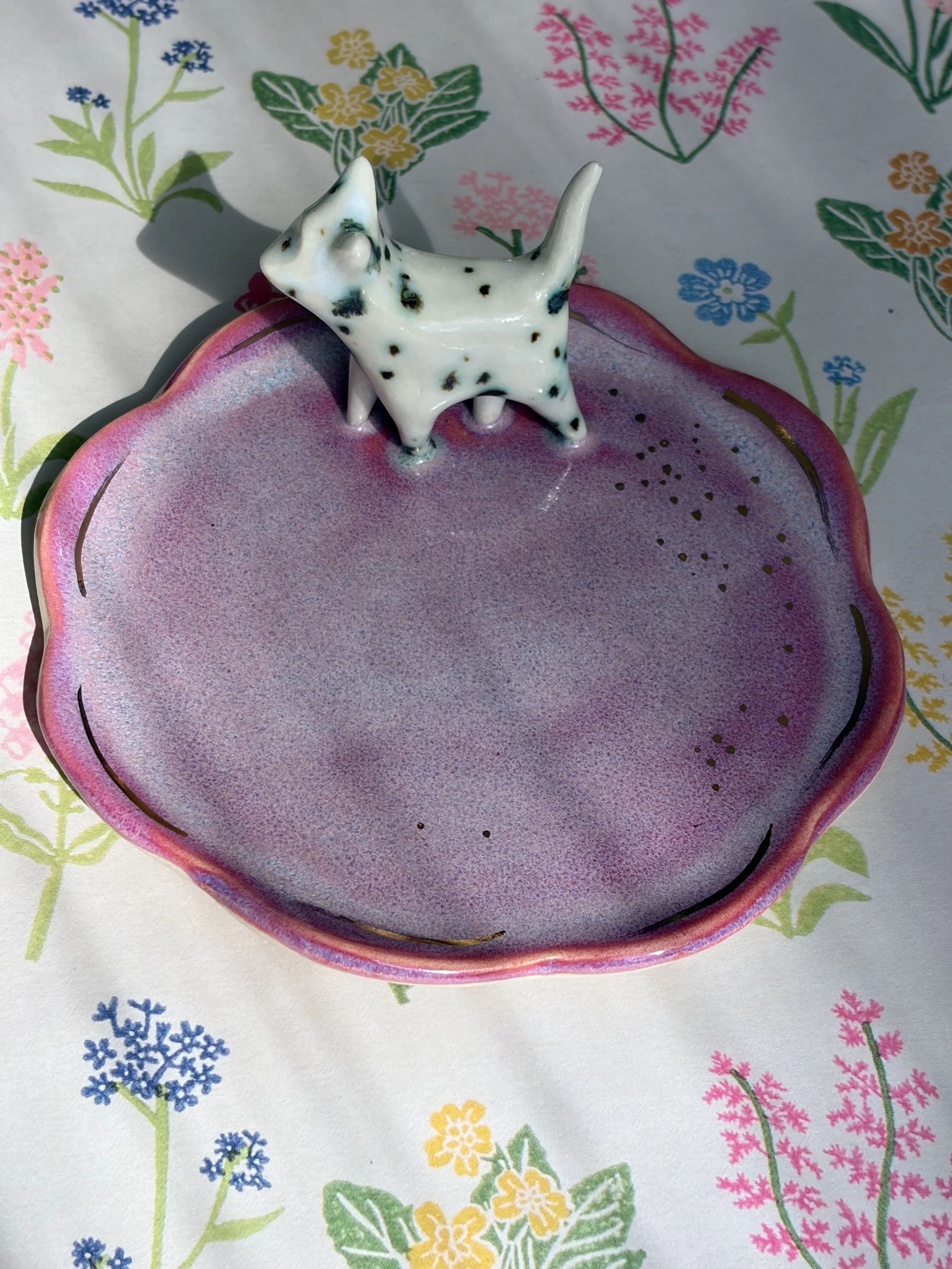 SINGLE CAT DISH .jpg