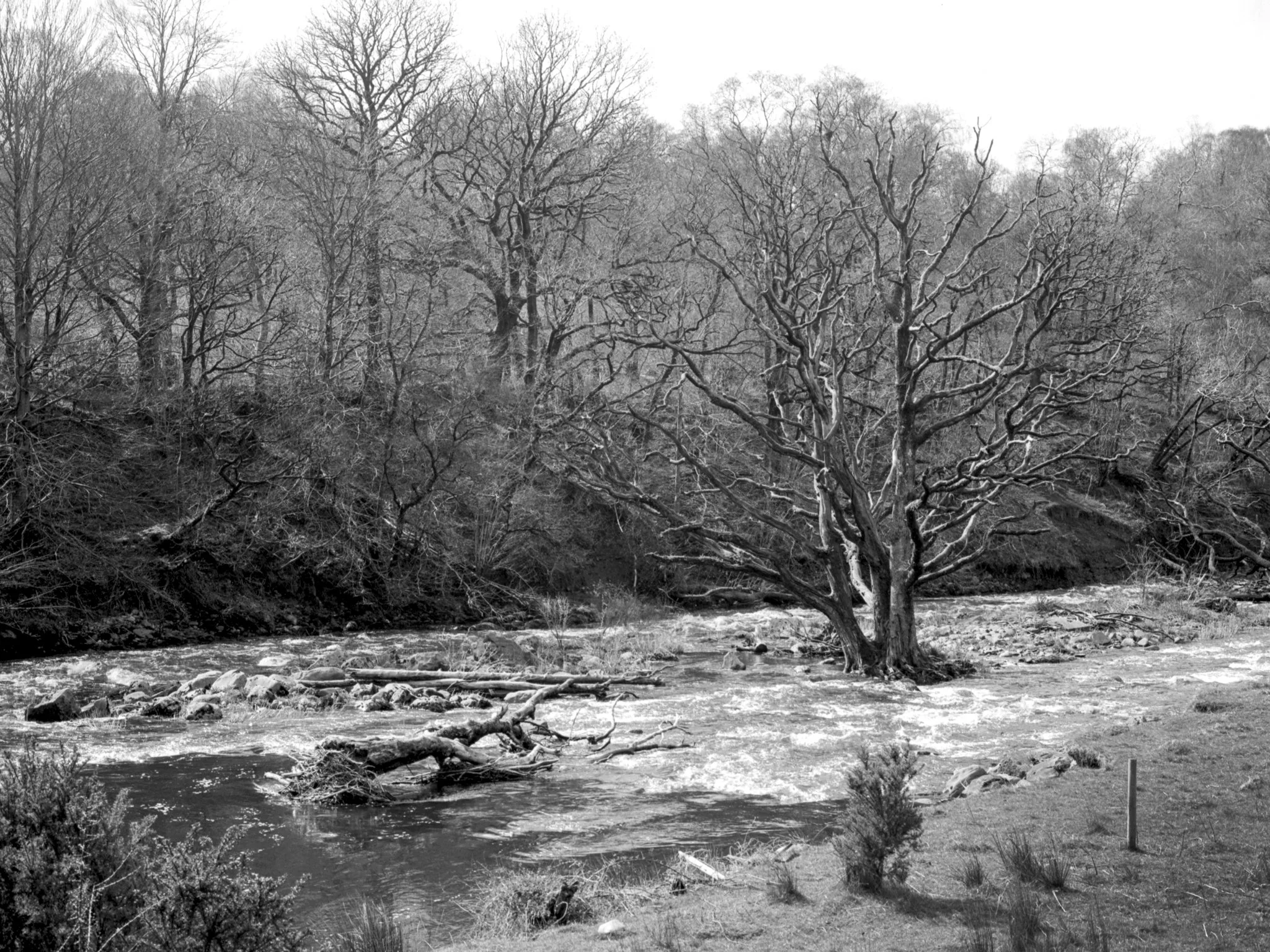 Along the Old Railway: Burns Farm to Keswick