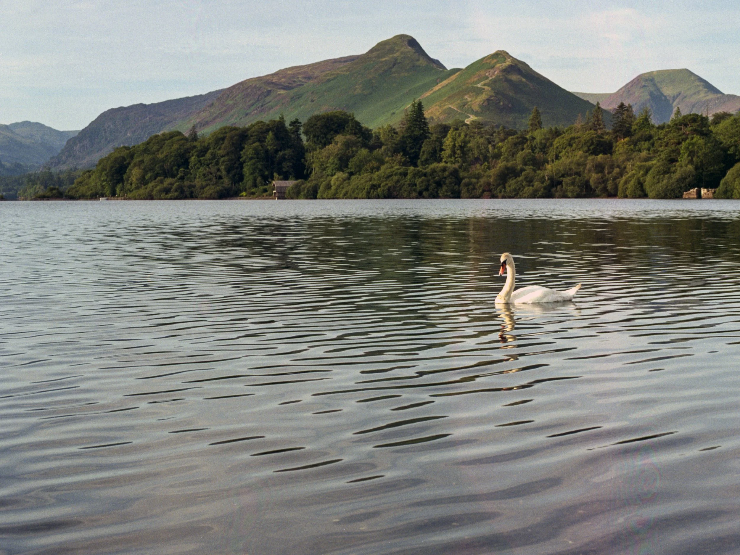 August in the Lakes