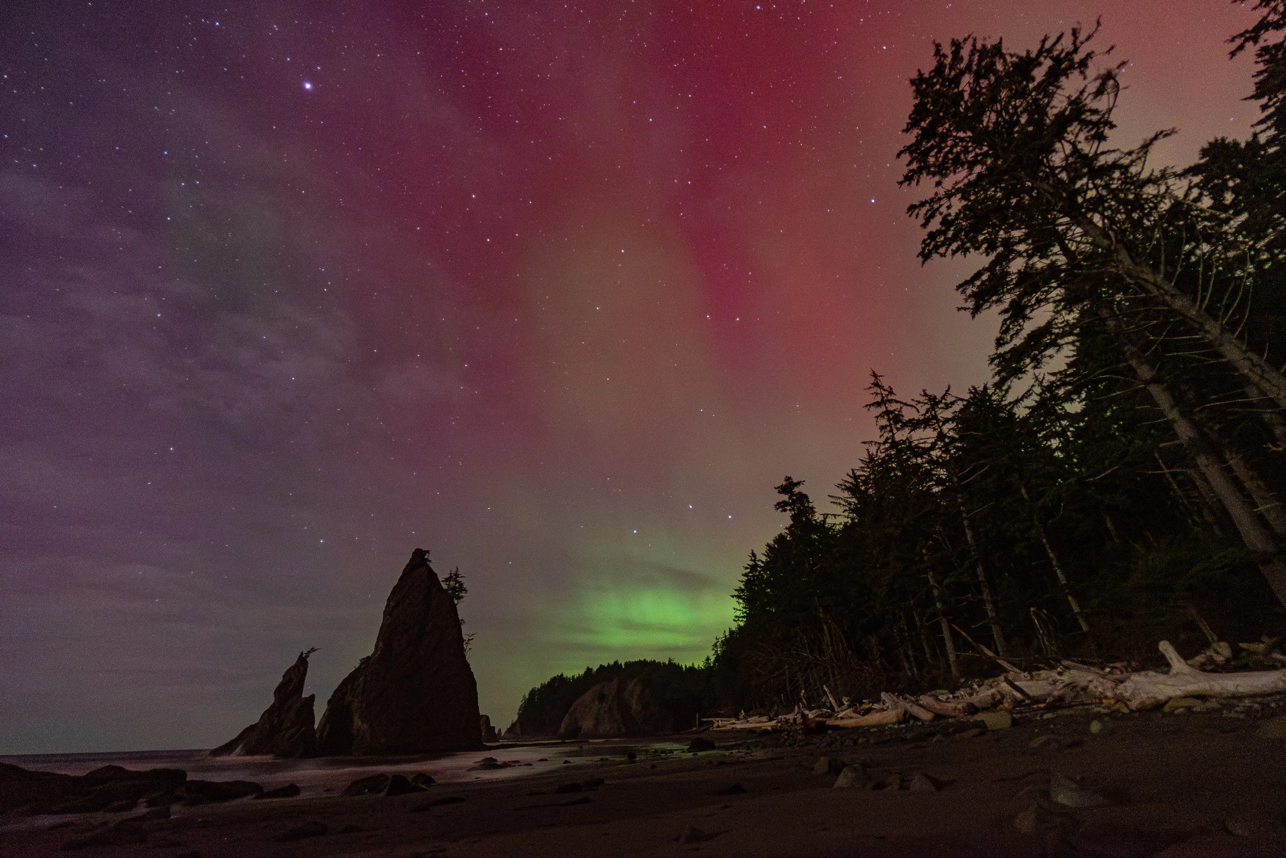 Aurora at Rialto Beach-1-5.jpg