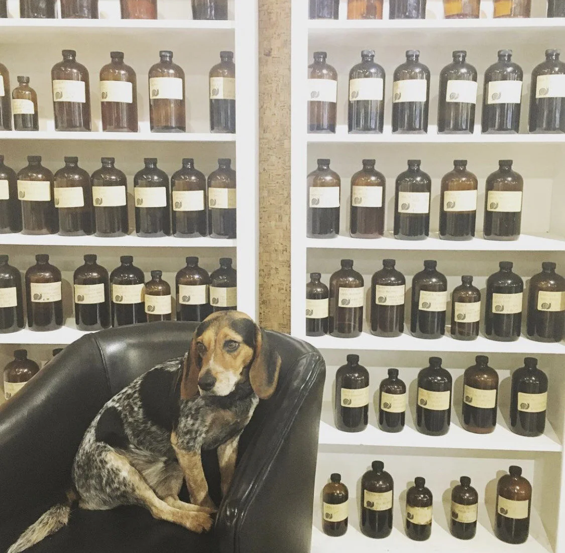 Indiana Herbal Center