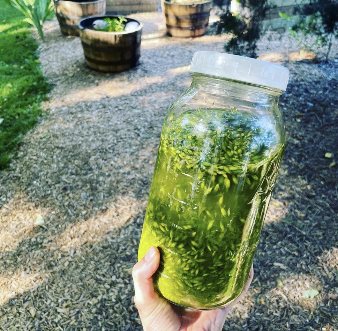 Indiana Herbal Center