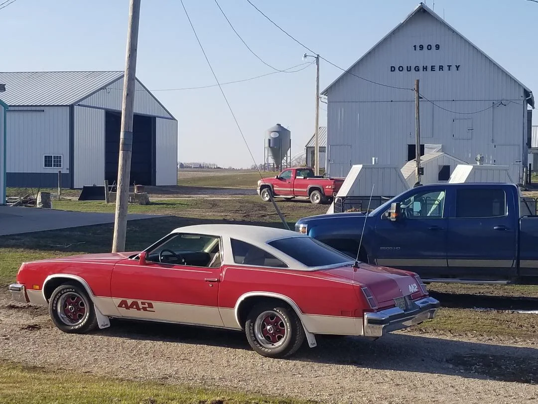 A friend visits the farm in his 1972 Oldsmobile Cutlass 442. 