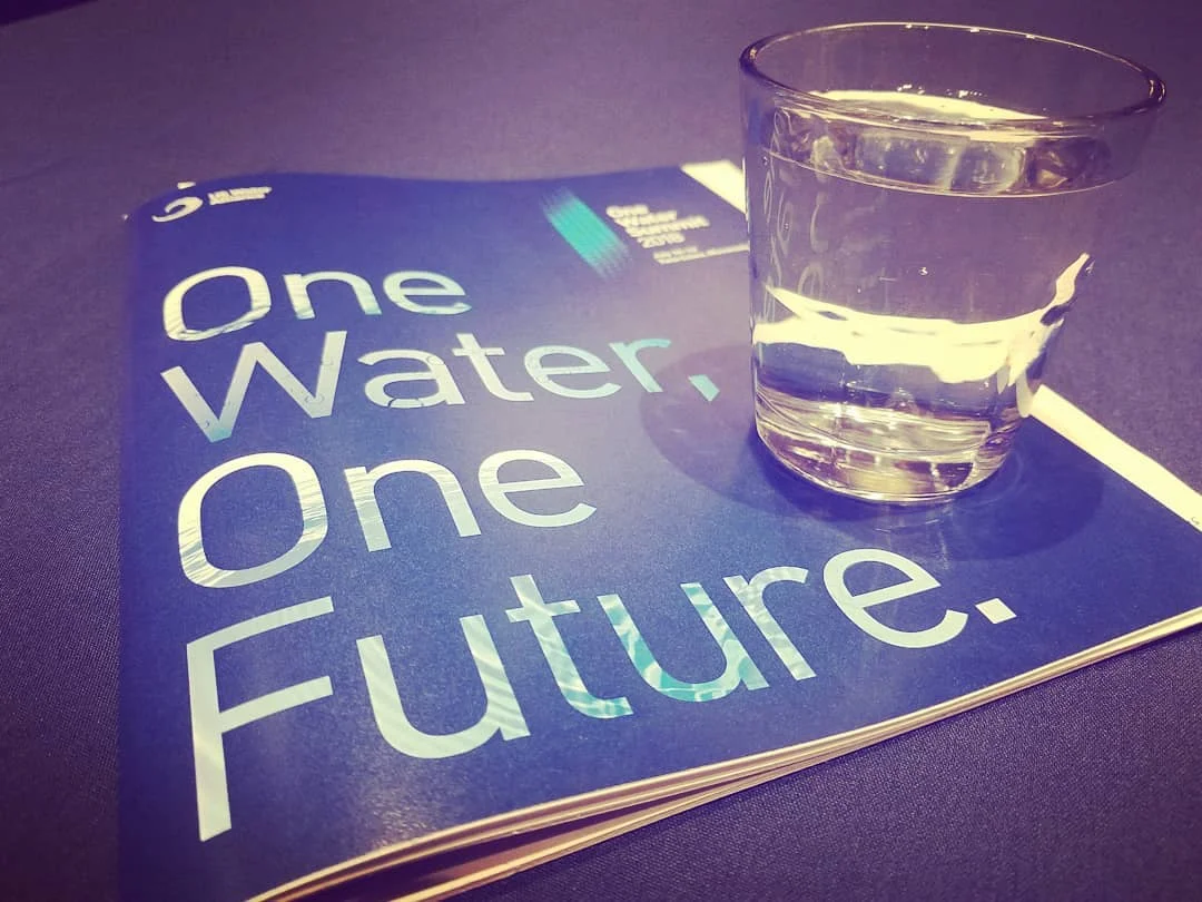 The One Water Summit was made up of rural and urban delegations of farmers, government officials, community organizers, environmentalists, staff members at non-profit organizations, academics, media and more. Photo credit: Darcy Dougherty Maulsby