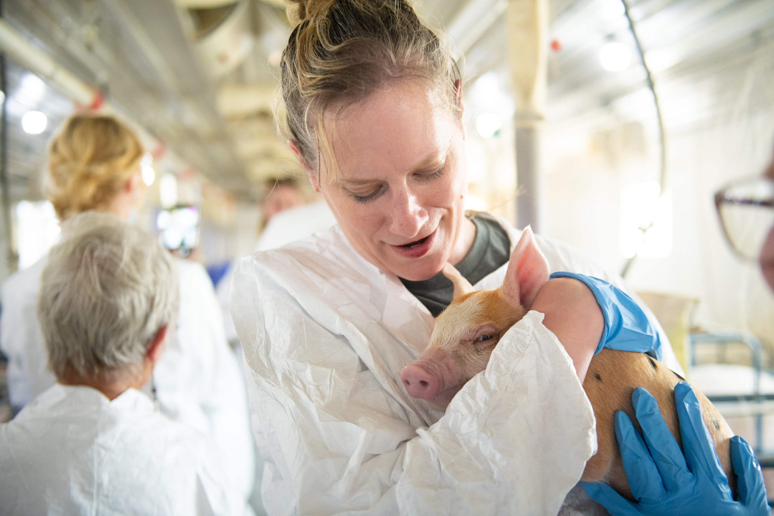Participants posed for photos while holding piglets. Photo credit: Joseph L. Murphy/Iowa Soybean Association