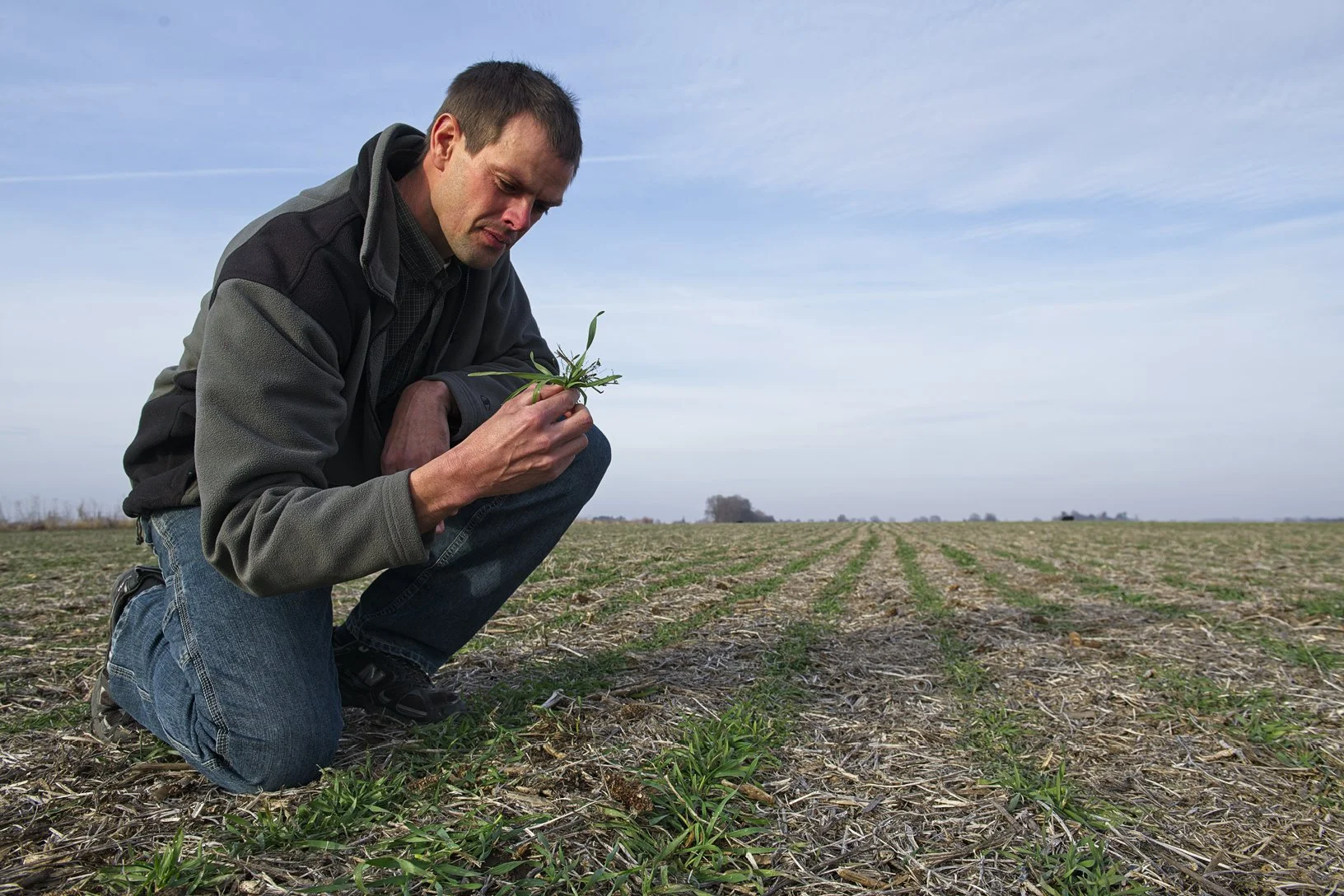 Dan De Vries, a farmer from Prairie City, works with the Iowa Soybean Association agronomists to incorporate cover crops into his land management practices. Photo credit: Joseph L. Murphy/Iowa Soybean Association