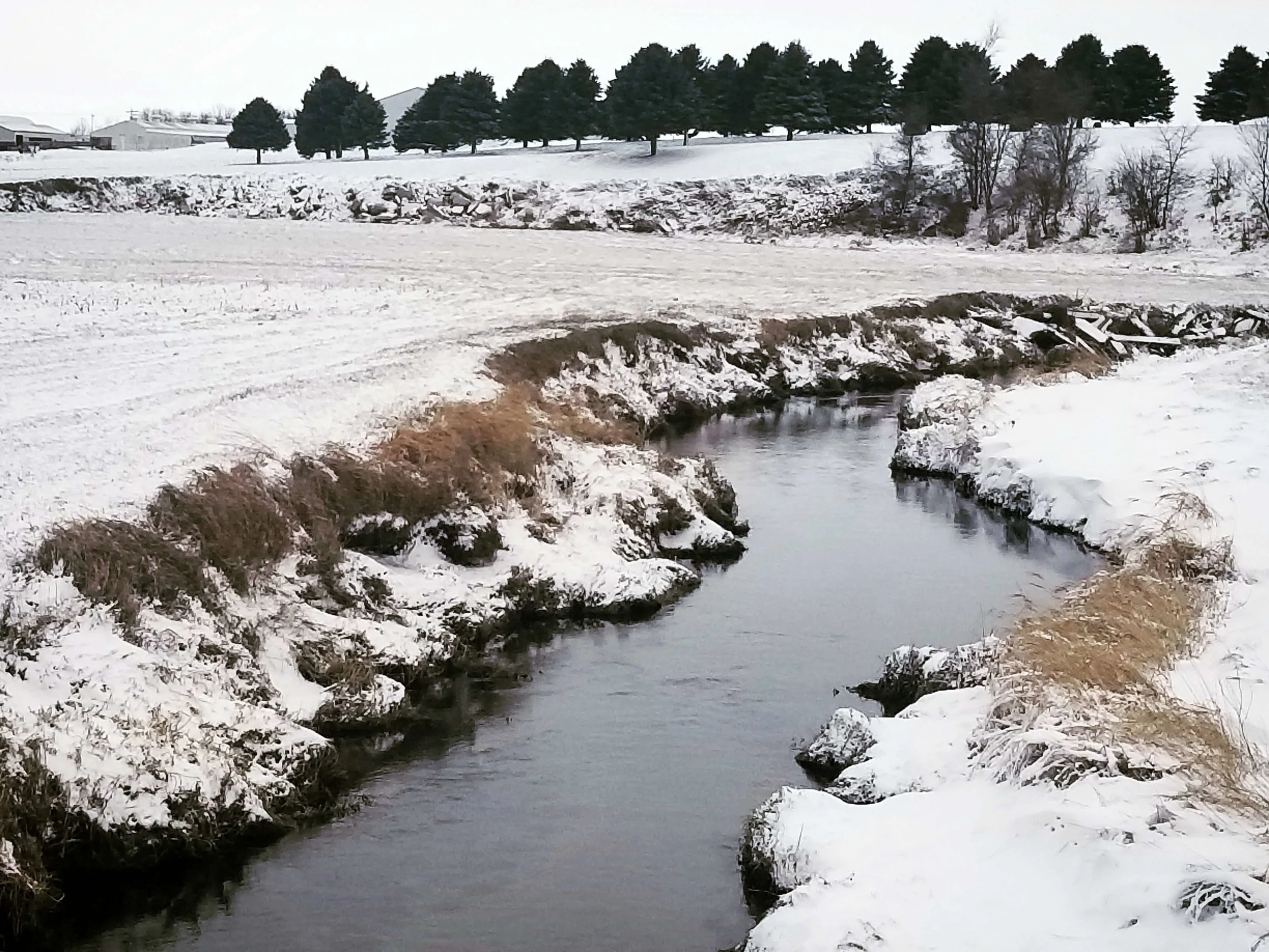 A winter stream in Calhoun County. Photo credit: Darcy Dougherty Maulsby