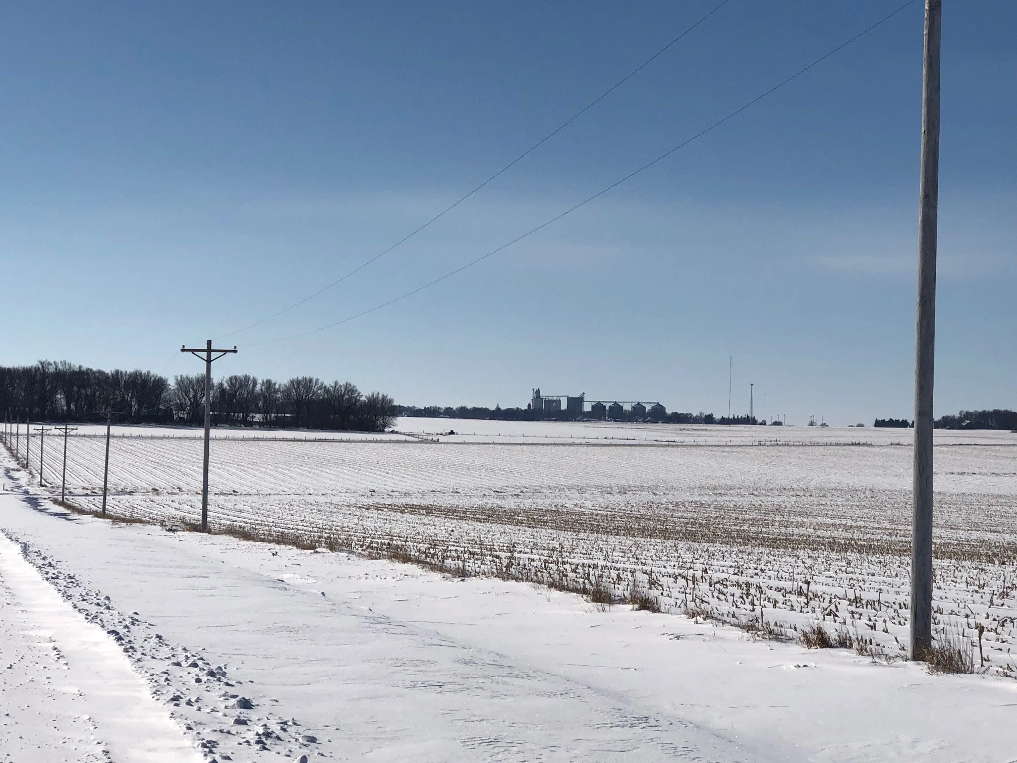 February on the Oswald family farm in Cleghorn. Photo credit: Tom Oswald