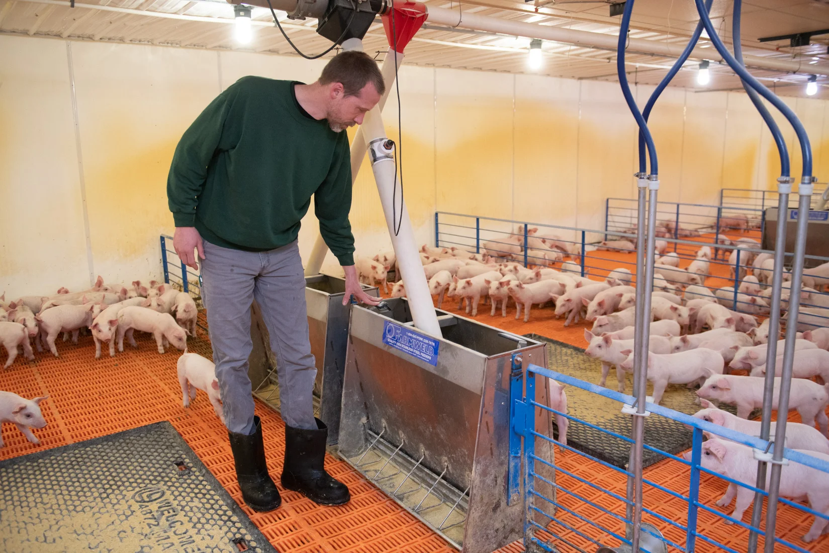 Technology allows farmers to monitor the building’s temperature and how much food or water the pigs consume. Photo credit: Joseph L. Murphy/Iowa Soybean Association