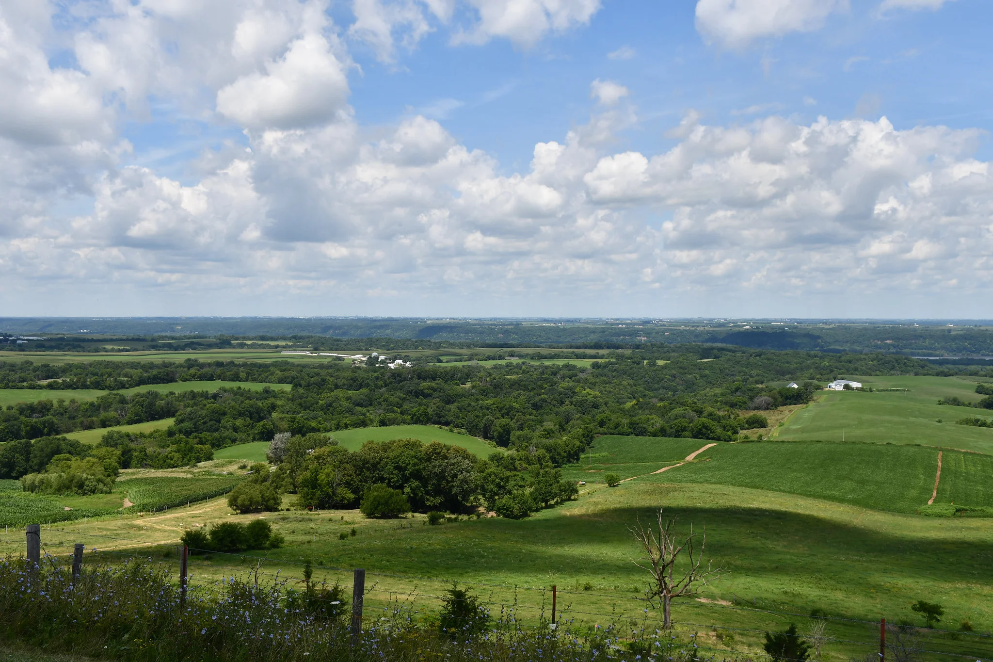 The Great River Road provides sweeping views along the Mississippi River. Photo credit: Joseph L. Murphy/Iowa Soybean Association